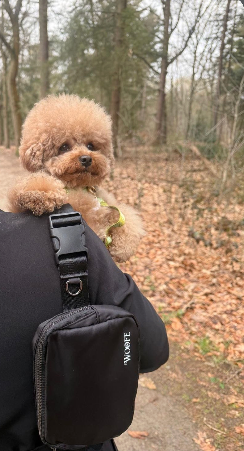 All-in-One Dog Walking Bag Woofe