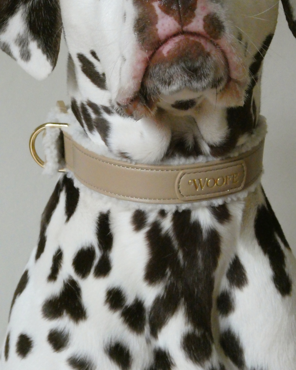 The Cosy Collar Mijn winkel