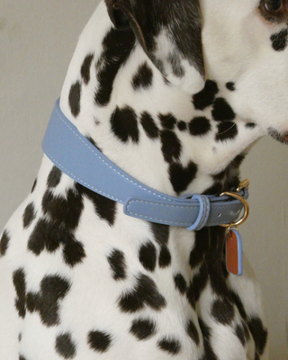 Roze veganistische leren halsband