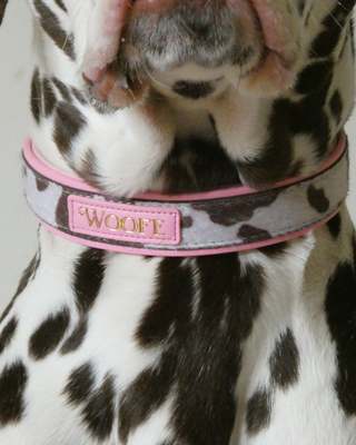 The MOO'd Collar - Cow Print Dog Collar
