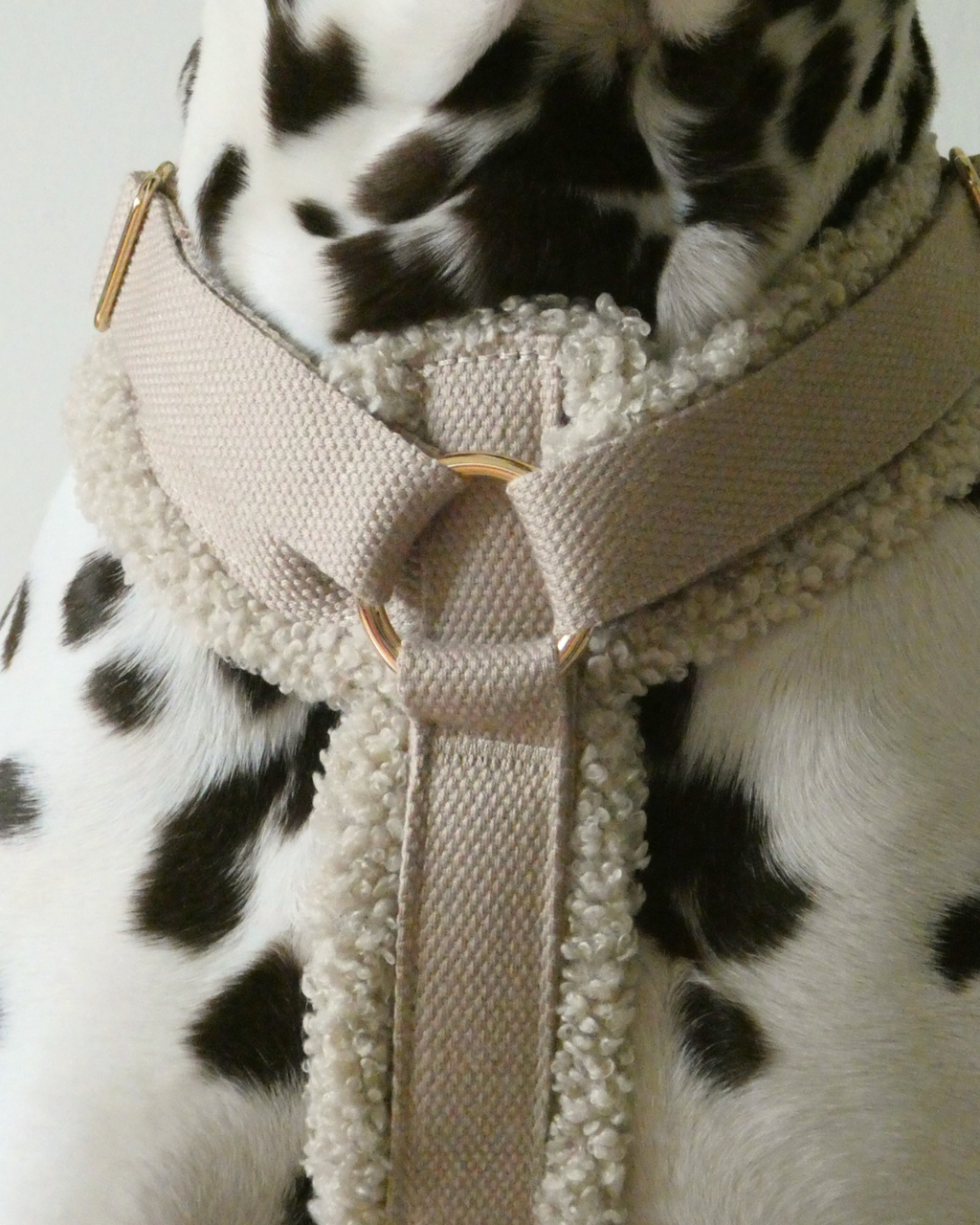 Teddy Harness Cashew Woofe
