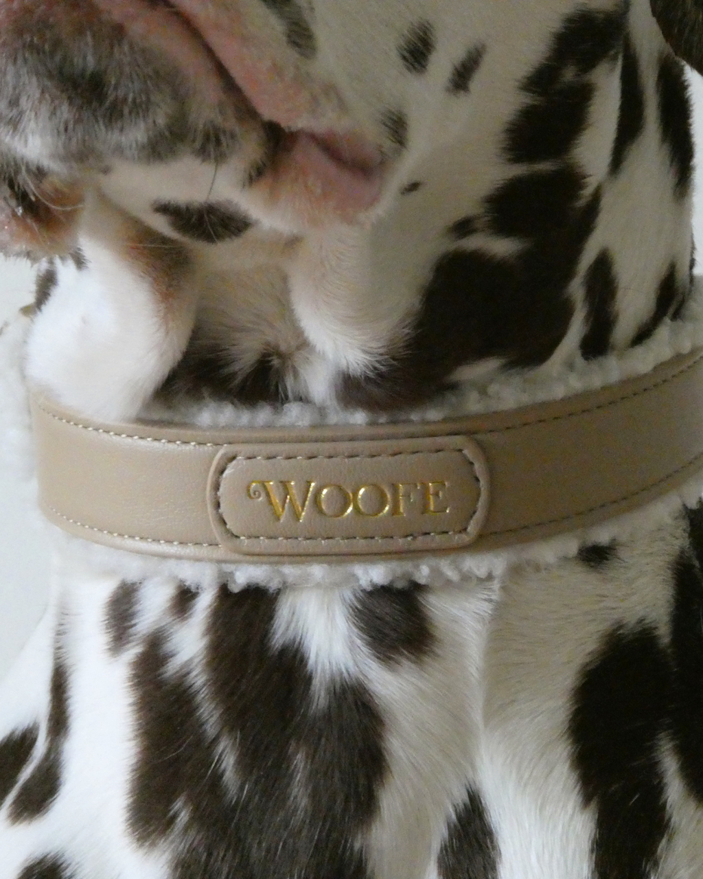 The Cosy Collar Mijn winkel