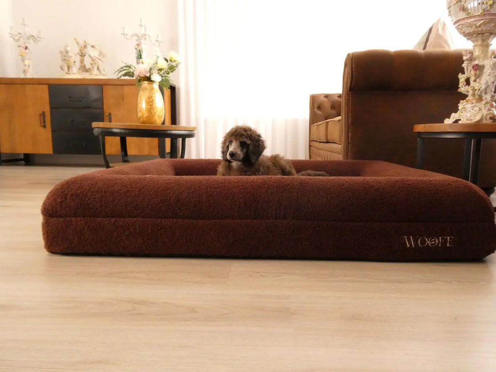 The Bear Bed Mijn winkel