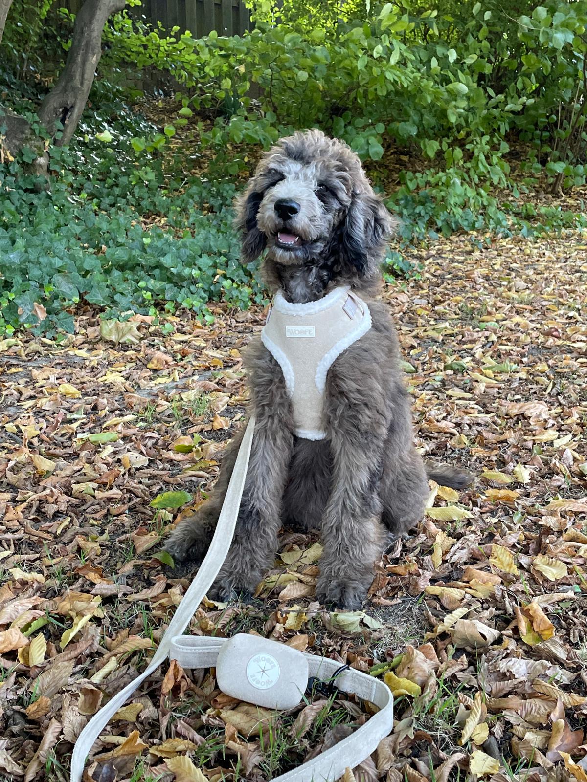 Beige Fur Harness Mijn winkel