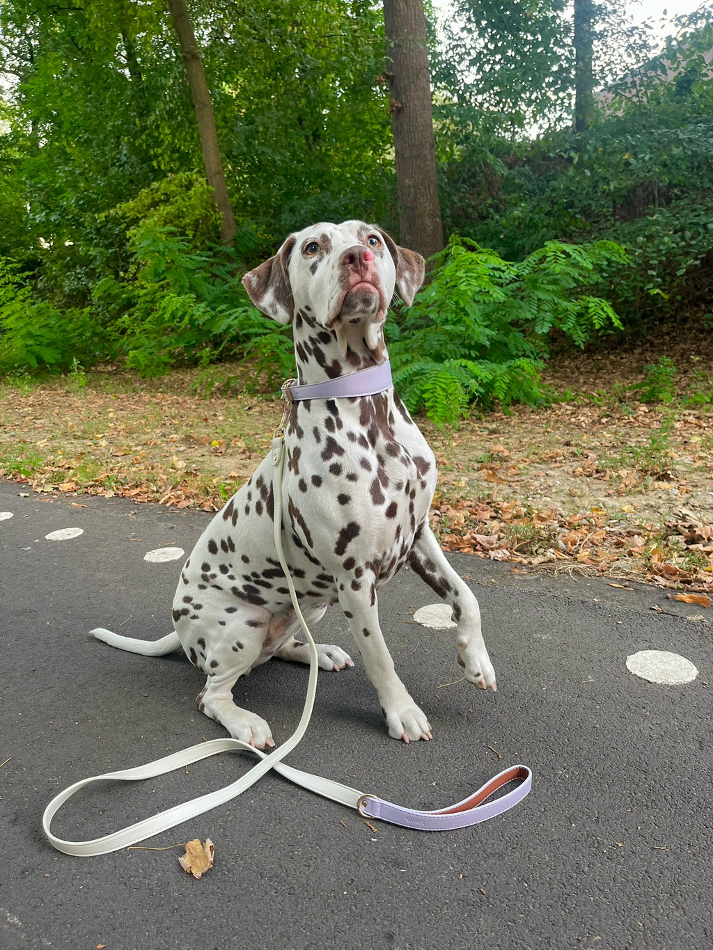 Lilac Vegan Leather Collar Mijn winkel