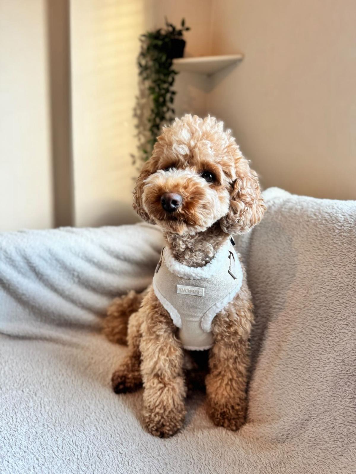 Beige Fur Harness Mijn winkel