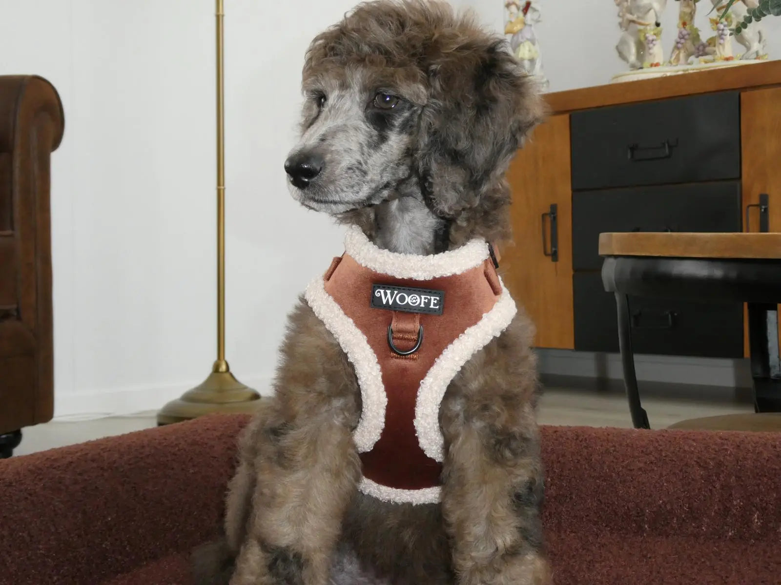 The Velvet Bear Harness Mijn winkel