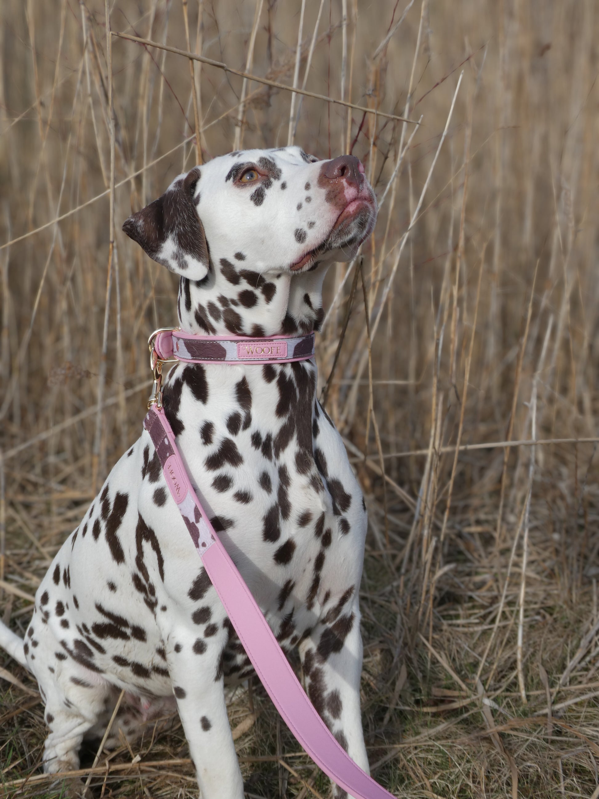 The MOO'd Leash Woofe