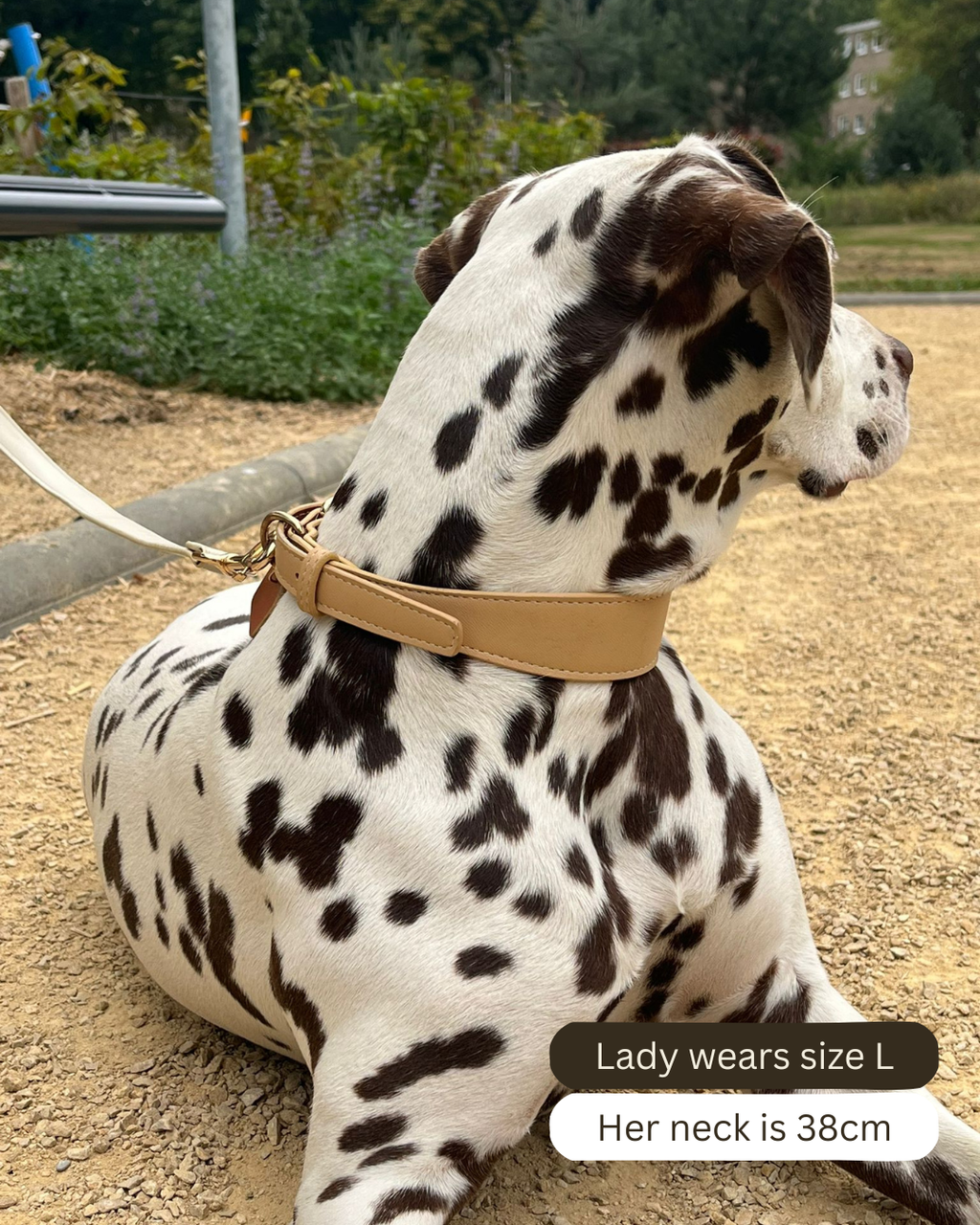 Beige Vegan Leather Collar Mijn winkel