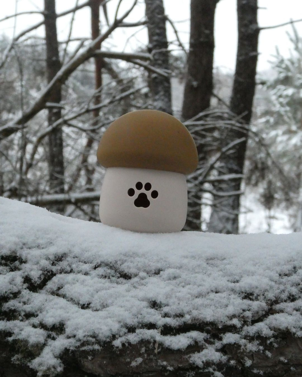 Mushroom Slow Feeder