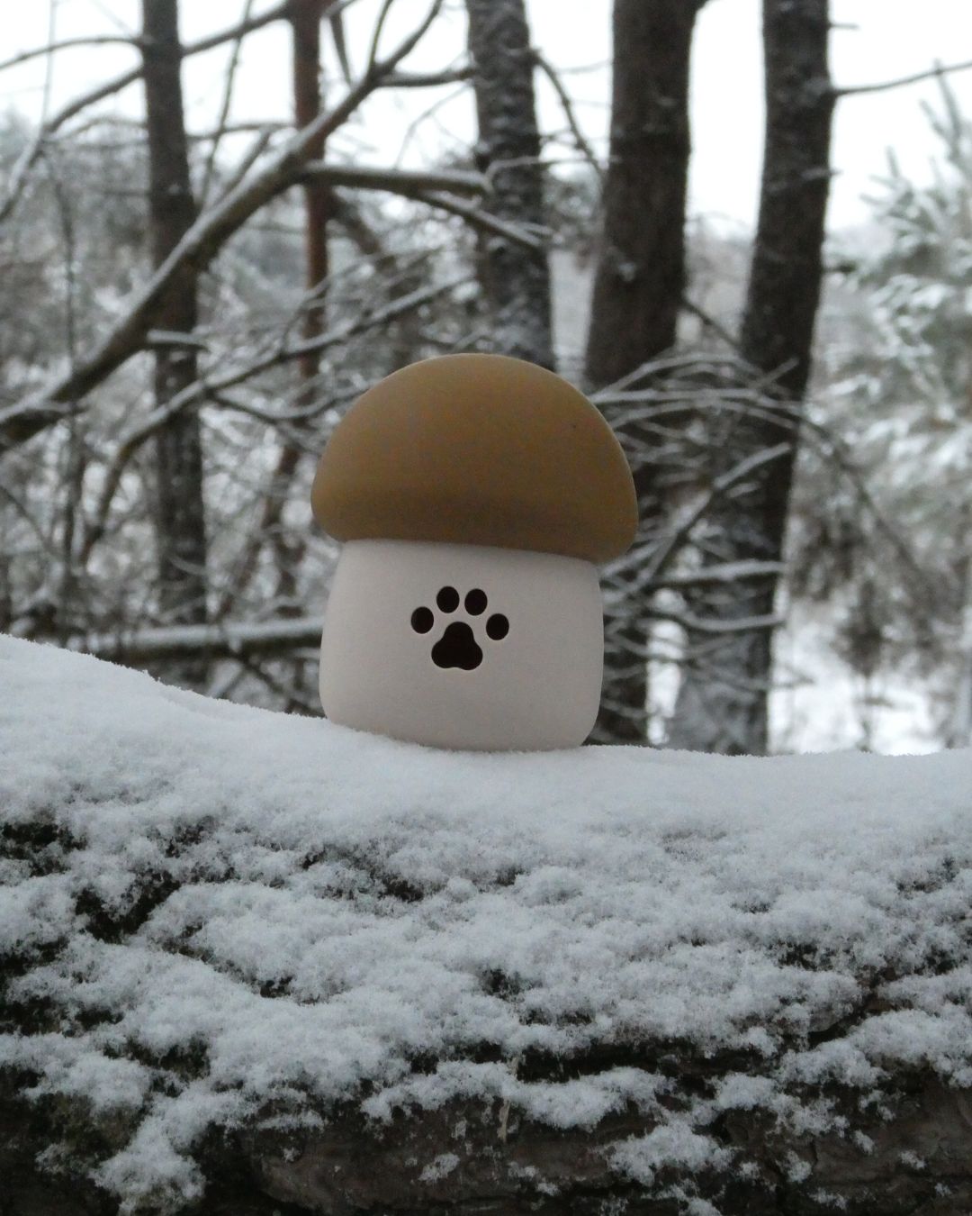 Mushroom Slow Feeder