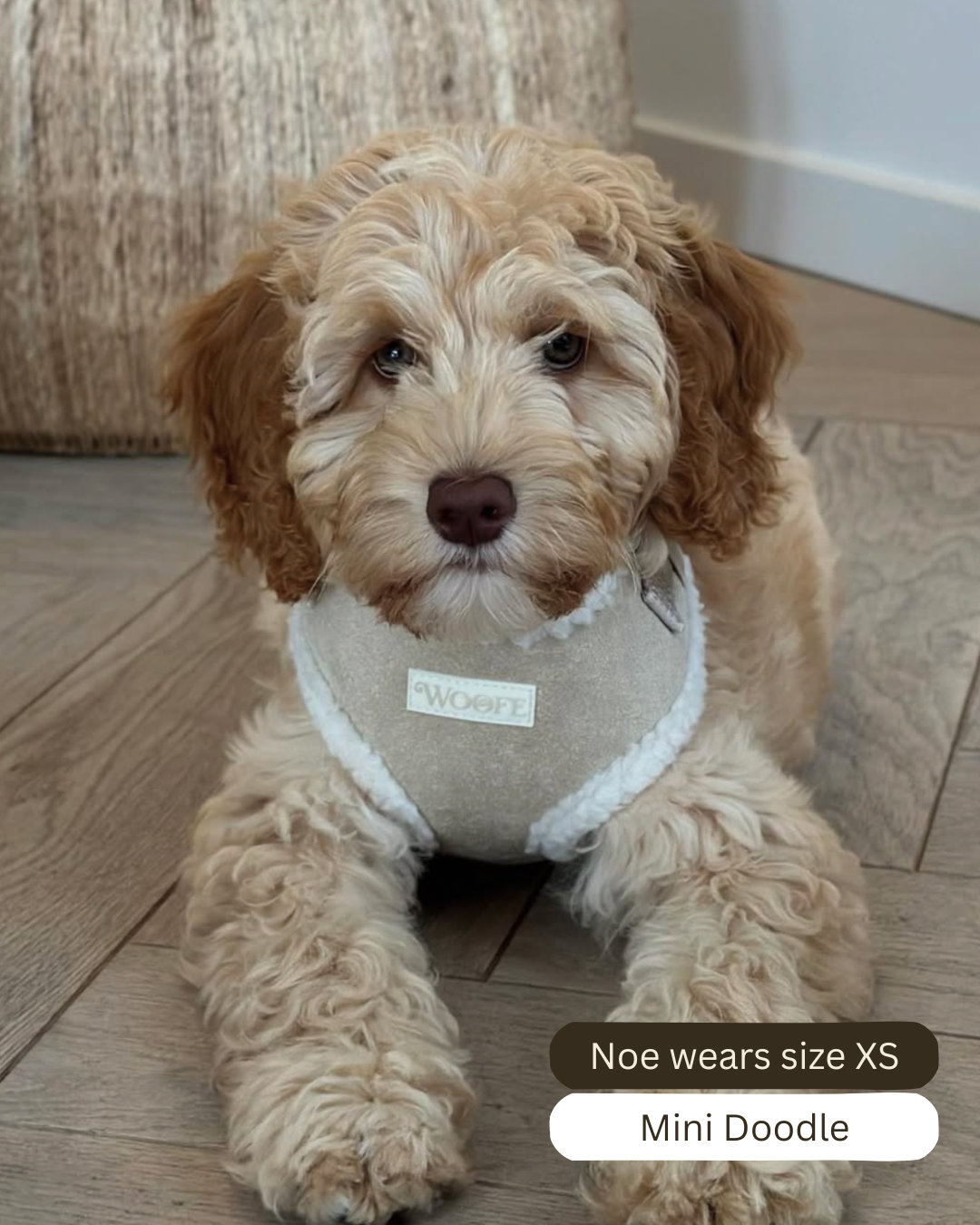 Beige Fur Harness Mijn winkel