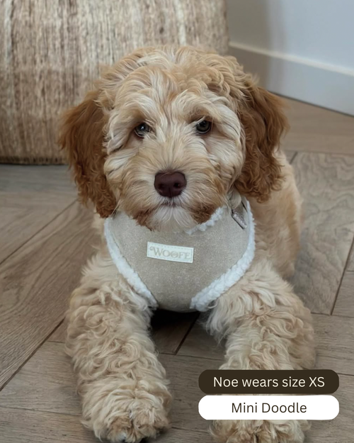 Beige Fur Harness Mijn winkel